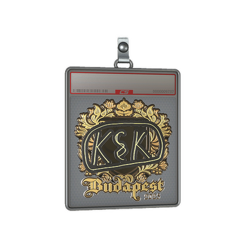 Sticker Slab | kyousuke (Gold) | Budapest 2025