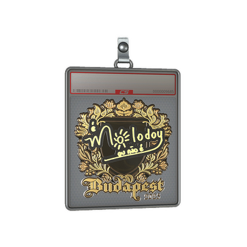 Sticker Slab | molodoy (Gold) | Budapest 2025
